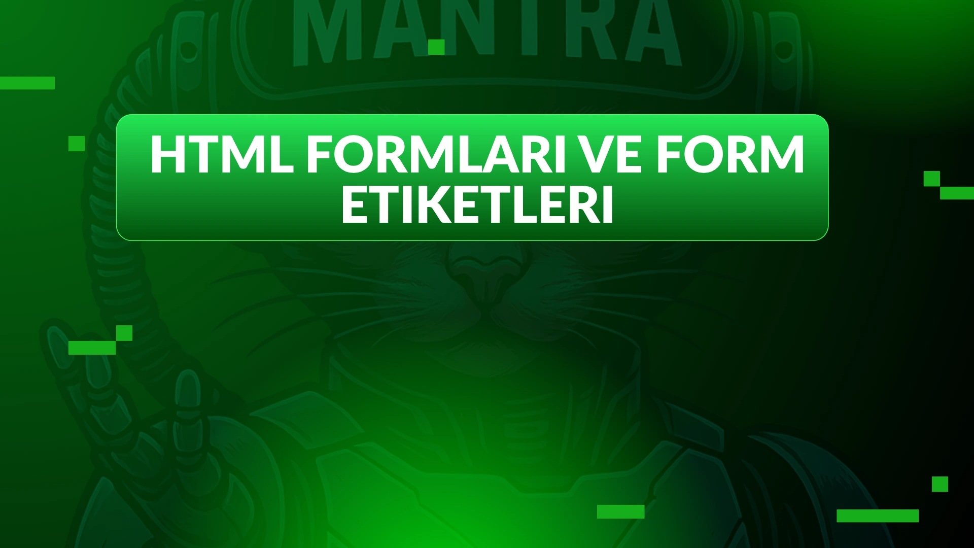 HTML Formları ve Form Etiketleri | 2025 Basit Rehber